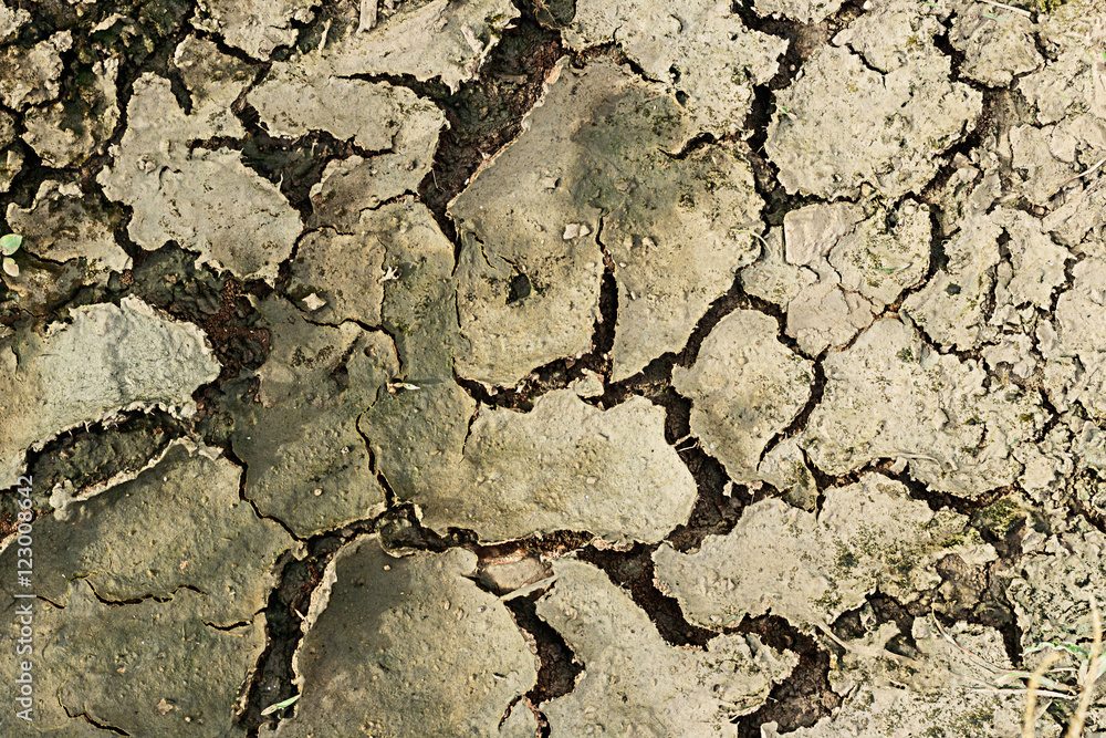 Fototapeta premium The ground after flooding