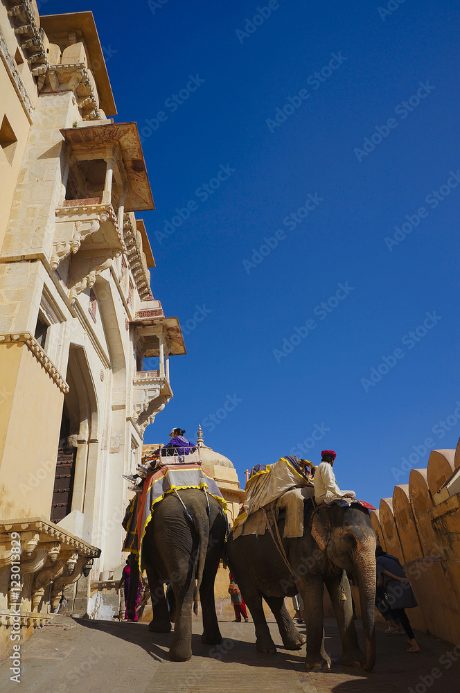 Naklejka premium AMER, INDIA - Tourists riding elephants on ascend to Amer (Amber) fort, Rajasthan, India. Amer fort is famous tourist destination and landmark