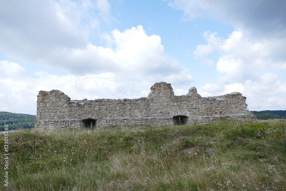 Schloss Hohenburg