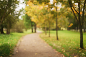 blurred background of mapple alley in town park in early autumn season