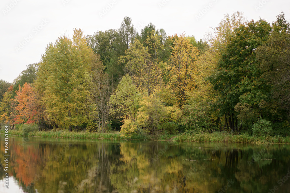 autumn landscape with beautiful colored trees near pond autumn landscape with beautiful colored trees near pond
