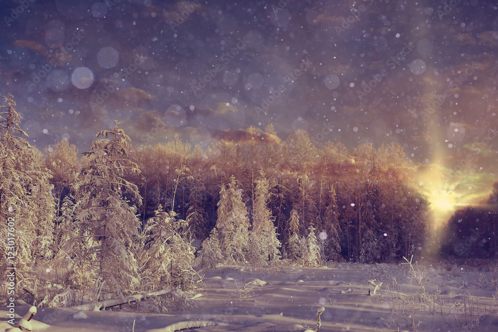 amazing winter landscape at sunset in forest amazing winter landscape at sunset in forest