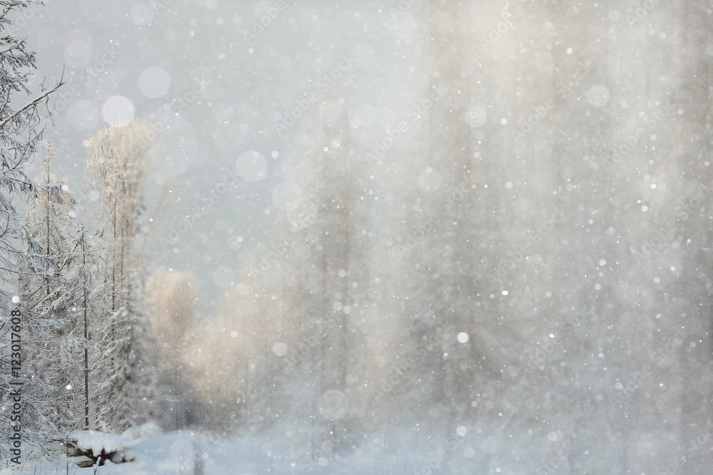 blurred winter background with snowflakes for text blurred winter background with snowflakes for text