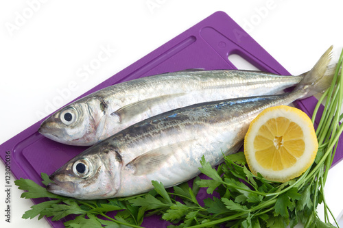 horse mackerel and tomatoes photo