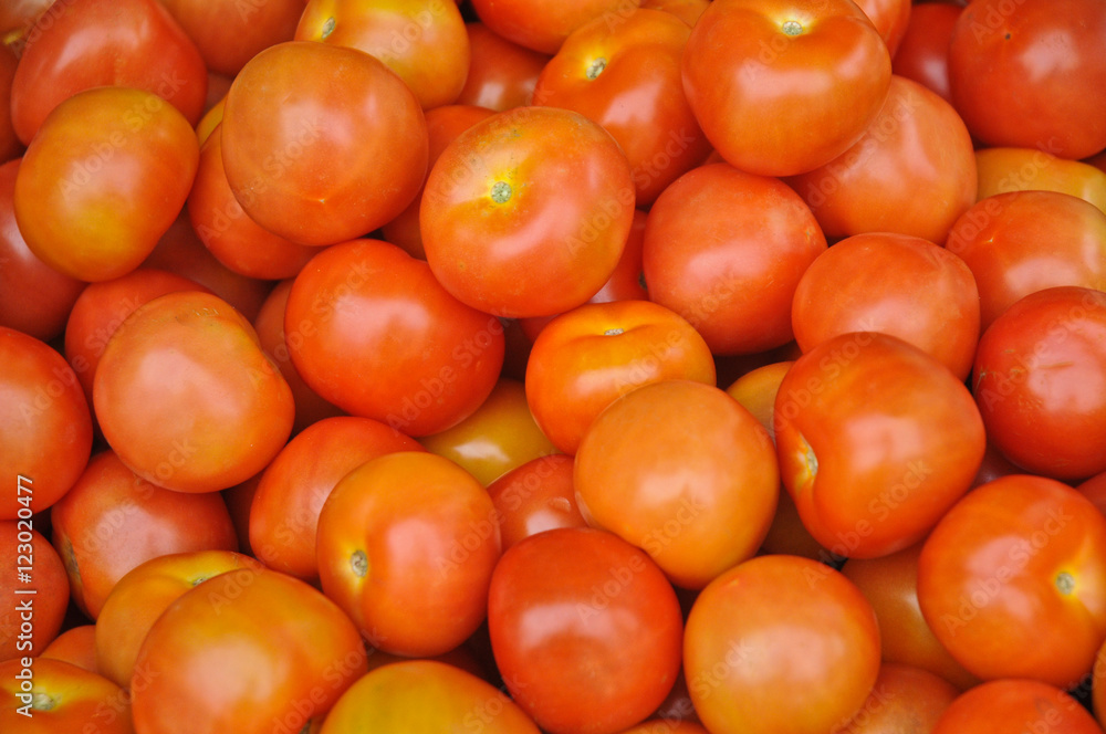 Red juicy organic tomatoes