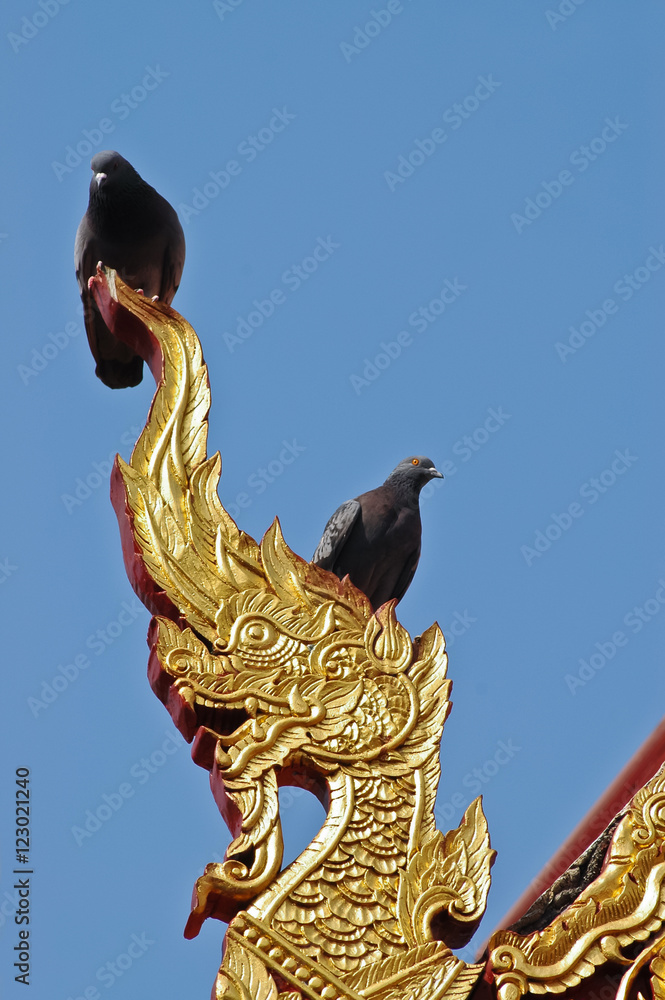 Fototapeta premium Birds on top of Naga dragon golden statue in Northen Thailand temple