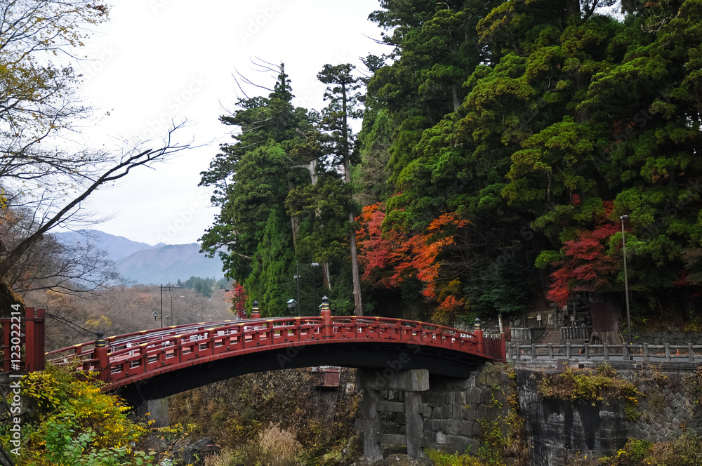 Ancient Japanese red arc bridge and Autumn leaves in Senda Japan