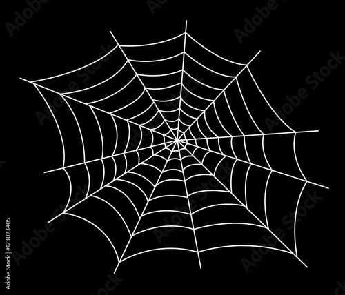 spider web vector illustration