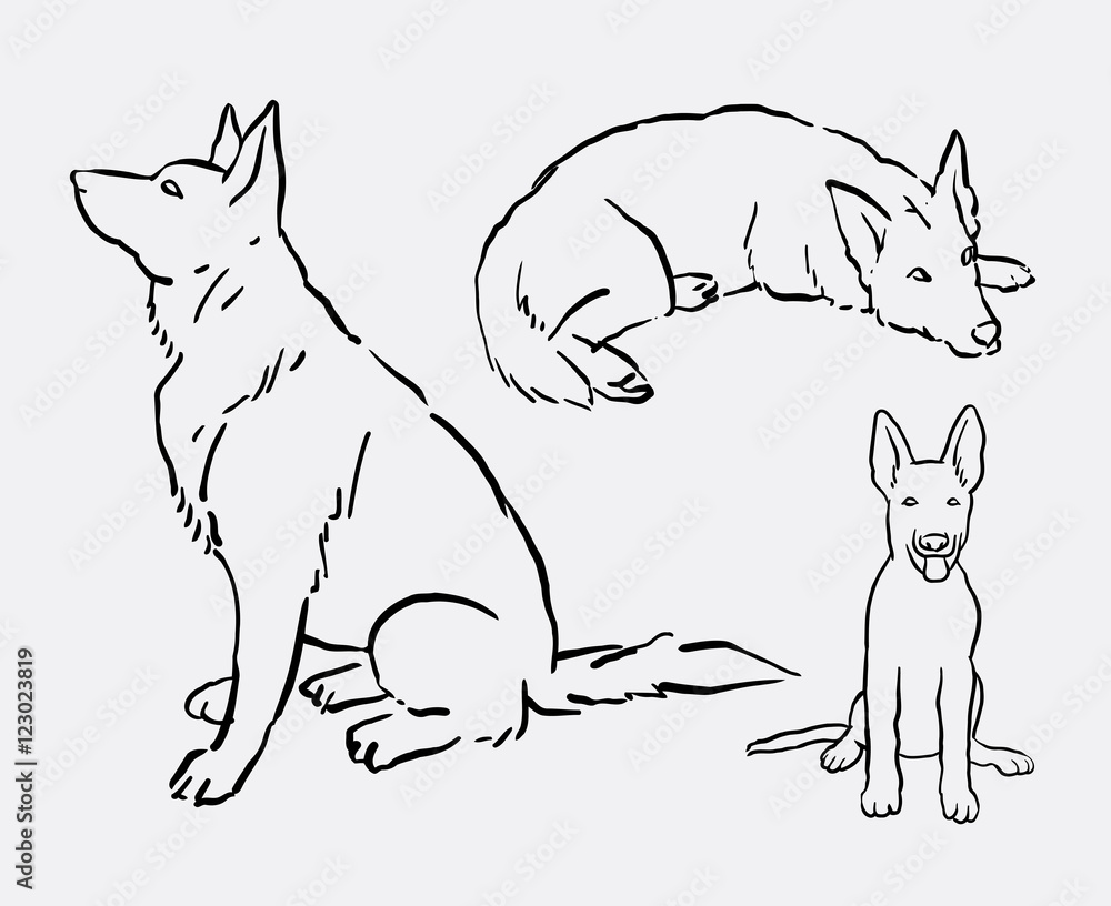 How To Draw A Dog Step By Step 🐕 Dog Drawing Easy - YouTube