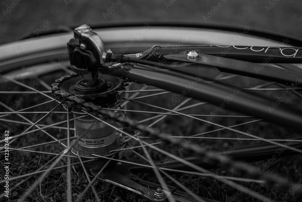 Obraz premium Bicycle Wheel