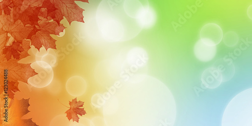abstract nature autumn Background with orange leaves