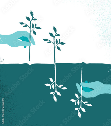 Piantare alberi