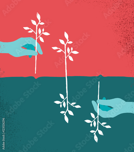 Piantare alberi