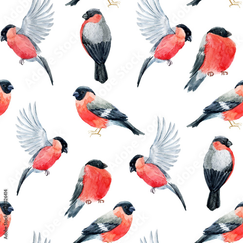 Canvas Print Watercolor bullfinch bird pattern