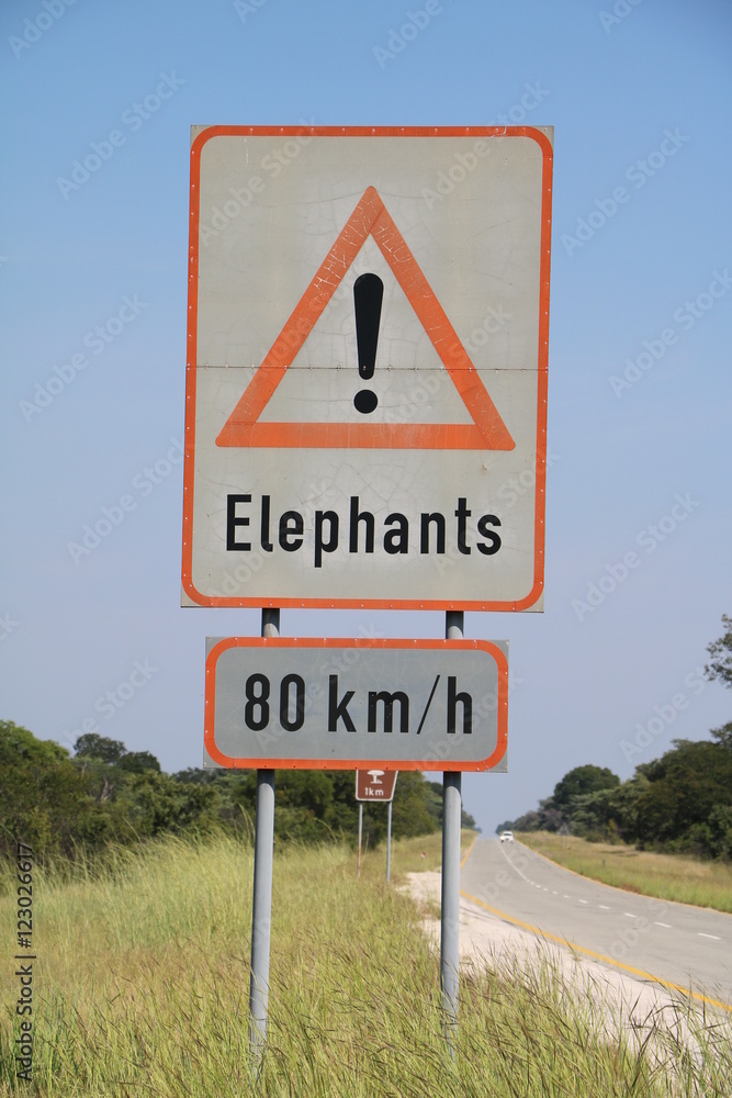 Traffic signs Attention Elephants - Maximum speed 80 km / h