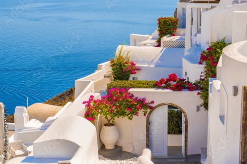 Traditional house and flower in Oia islands , Santorini, Greece