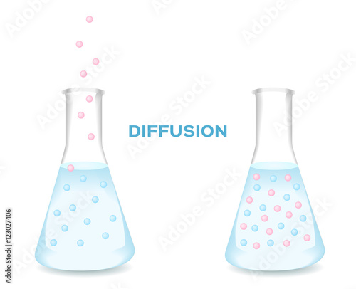 Water Diffusion vector . before and after of water diffusion