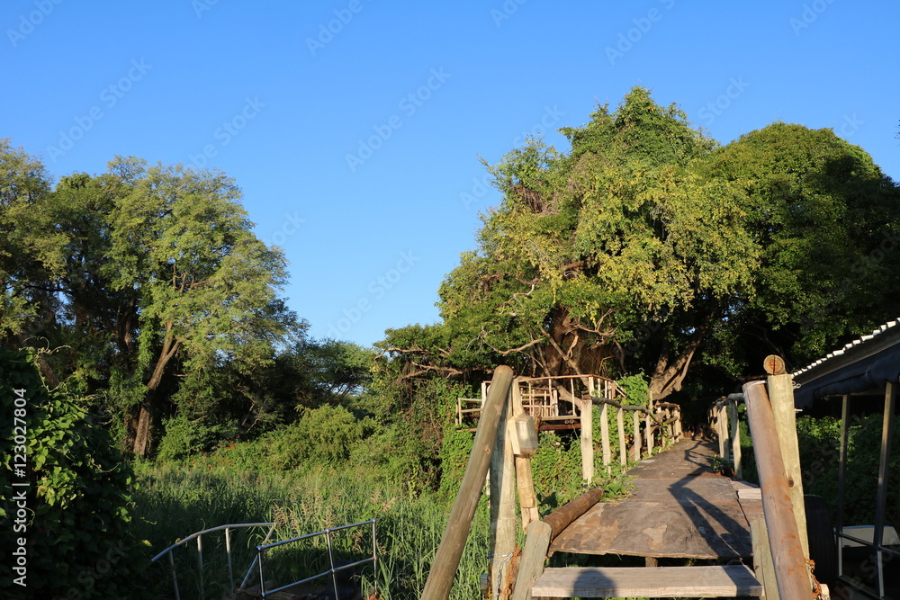 Wooden bridge on the shore of Cuando river, Caprivi Strip of Botswana Africa 