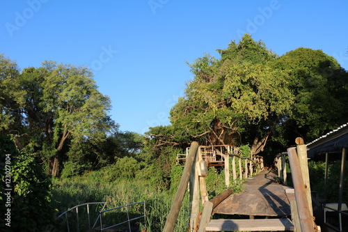 Wooden bridge on the shore of Cuando river  Caprivi Strip of Botswana Africa 