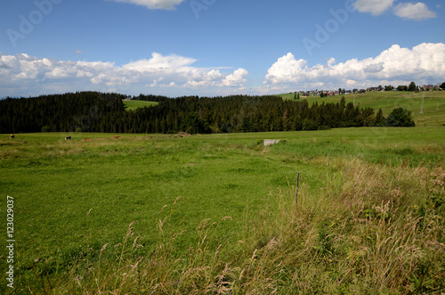 Obraz na płótnie Meadow in the Tatra Mountains (Poland) w salonie