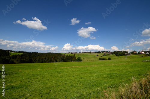 Obraz na płótnie Meadow in the Tatra Mountains (Poland) w salonie
