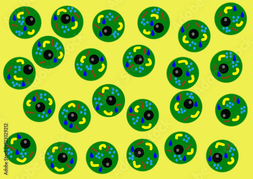 Körperzellen, menschliche Zellen (Grafik)