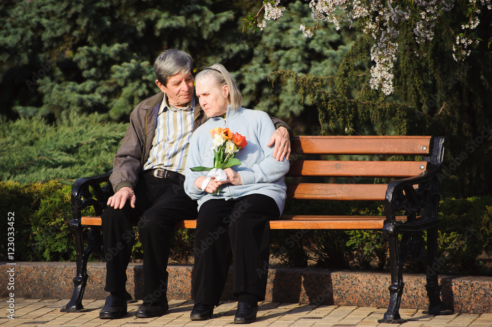 beautiful happy old people sitting in the spring park beautiful happy old people sitting in the spring park