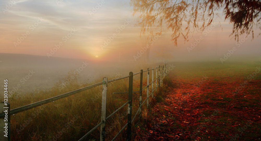Obraz premium sunrise on a misty Autumn day 