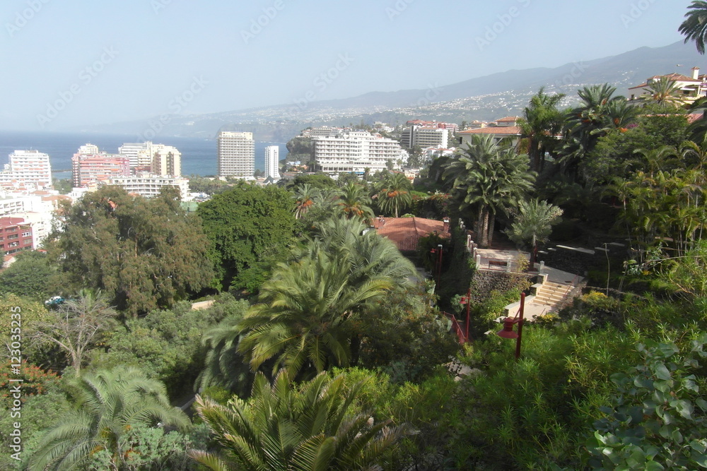 Obraz premium Puerto de la Cruz on Tenerife