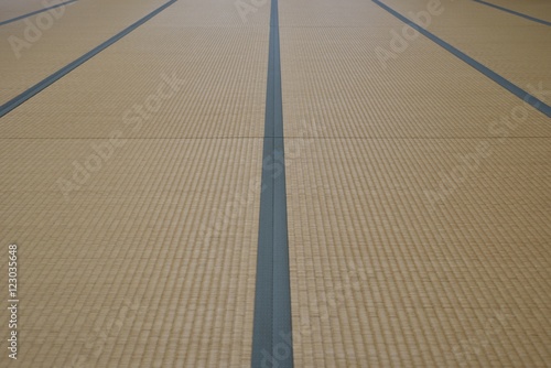 Canvas Print tatami