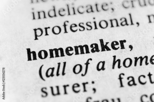 Slika na platnu Homemaker