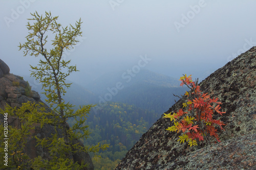 Красивый сибирский пейзаж. На краю скалы. Beautiful Siberian landscape. On the edge of the rock. photo