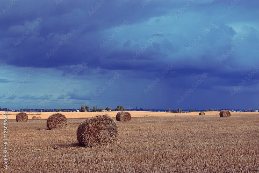 landscape haystacks in a field of autumn village