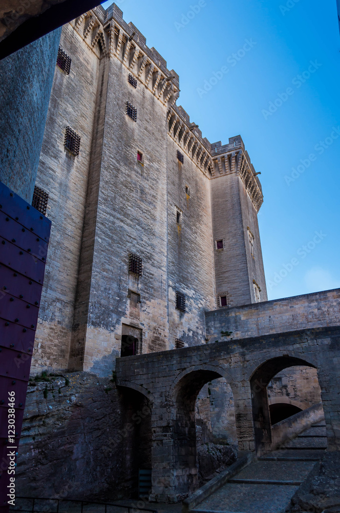 Tarascon et son château. Tarascon et son château.
