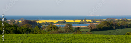 Raps mit Ostseeblick
