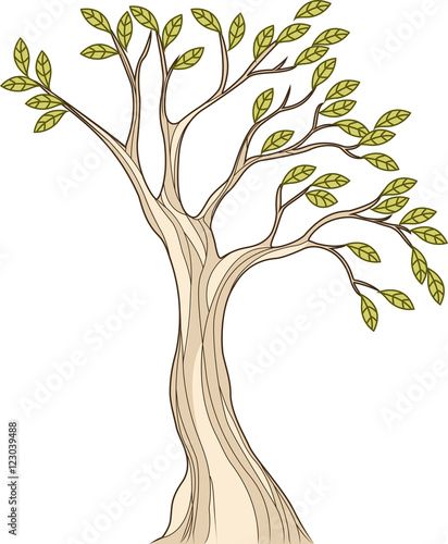 Stylized tree illustration photo