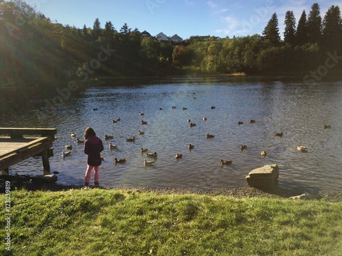 feeding ducks