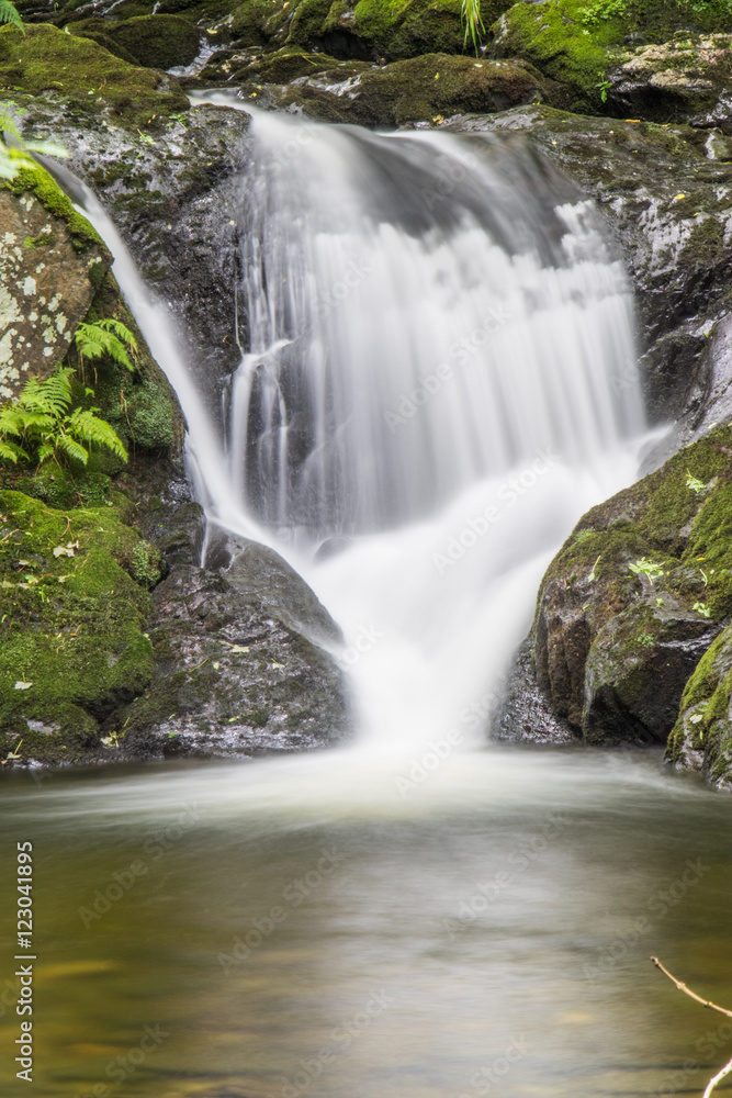 Waterfall of Dolgoch Falls