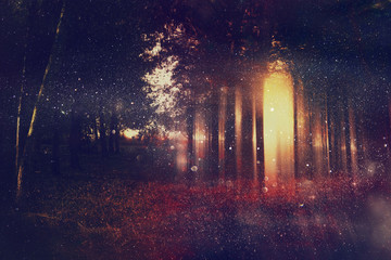 Abstract and mysterious background of blurred forest