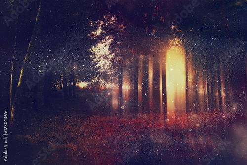 Abstract and mysterious background of blurred forest photo