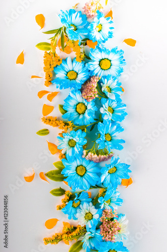 Blue and orange flowers are a straight vertical stripe on a light background. Top view. Flat lay.