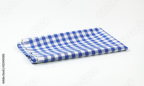 blue checkered napkin