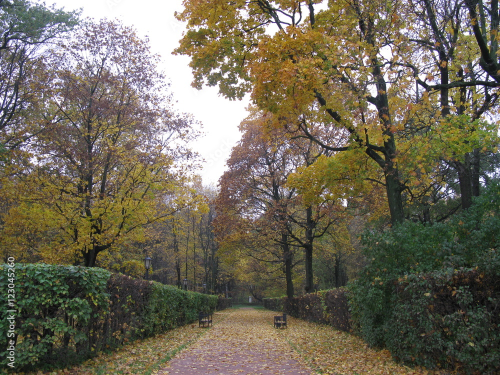 Осенняя аллея в парке