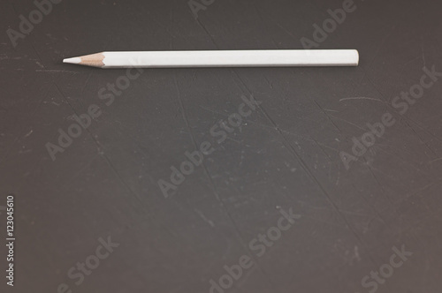 white pencil in the shell on blackboard with copy space
