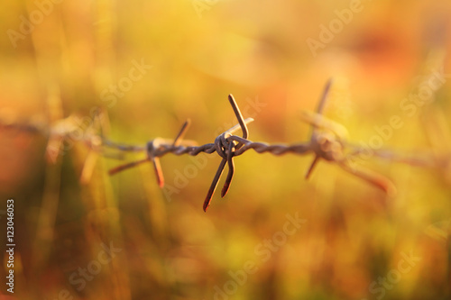 Barbed wire on sunset