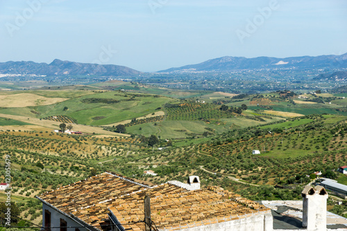 Pantiled roofs and olive groves in Andalusia, Spain