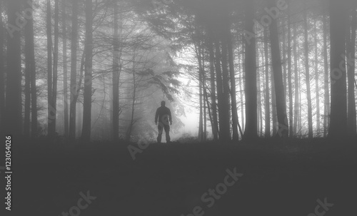 Spatziergang im Wald mit Nebel