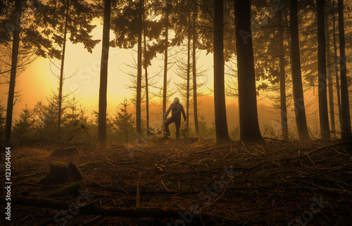 Nebel mit Sonne und einer Person im Wald