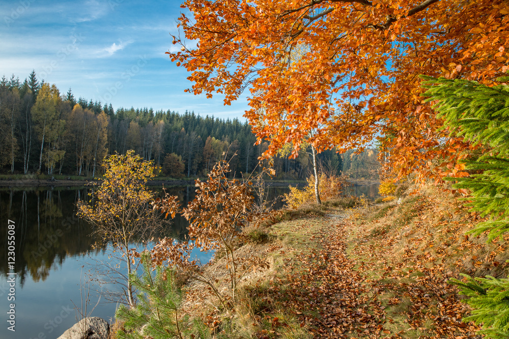 Obraz premium Herbstfärbung am Frankenteich im Südharz
