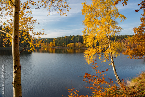 Goldgelbe Herbstfärbung am Frankenteich im Südharz